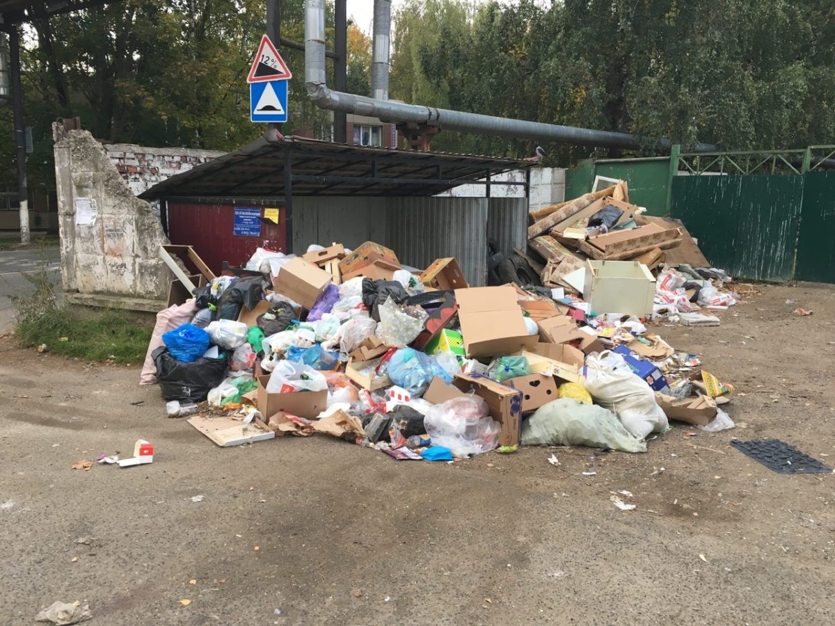 Пластиковое загрязнение