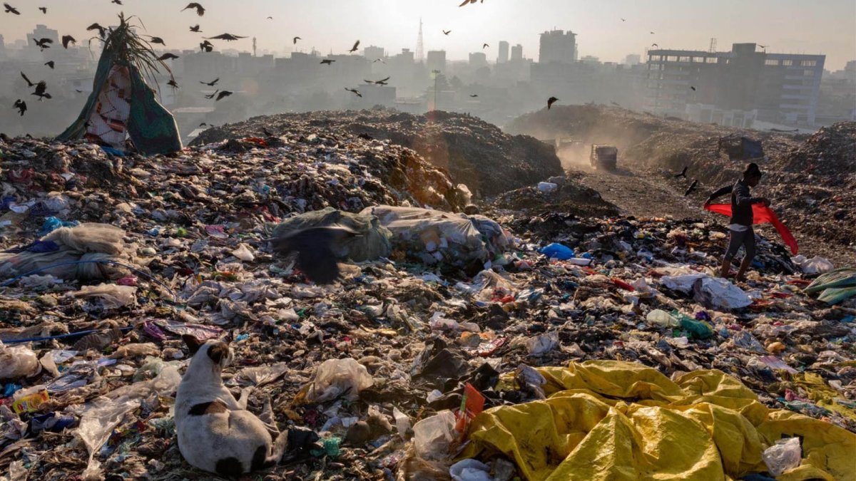 Смешные отходы