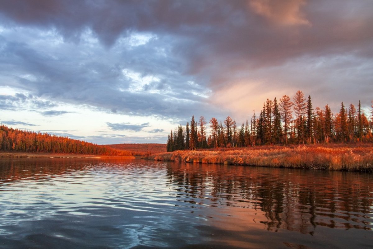 Якутск Ленские столбы