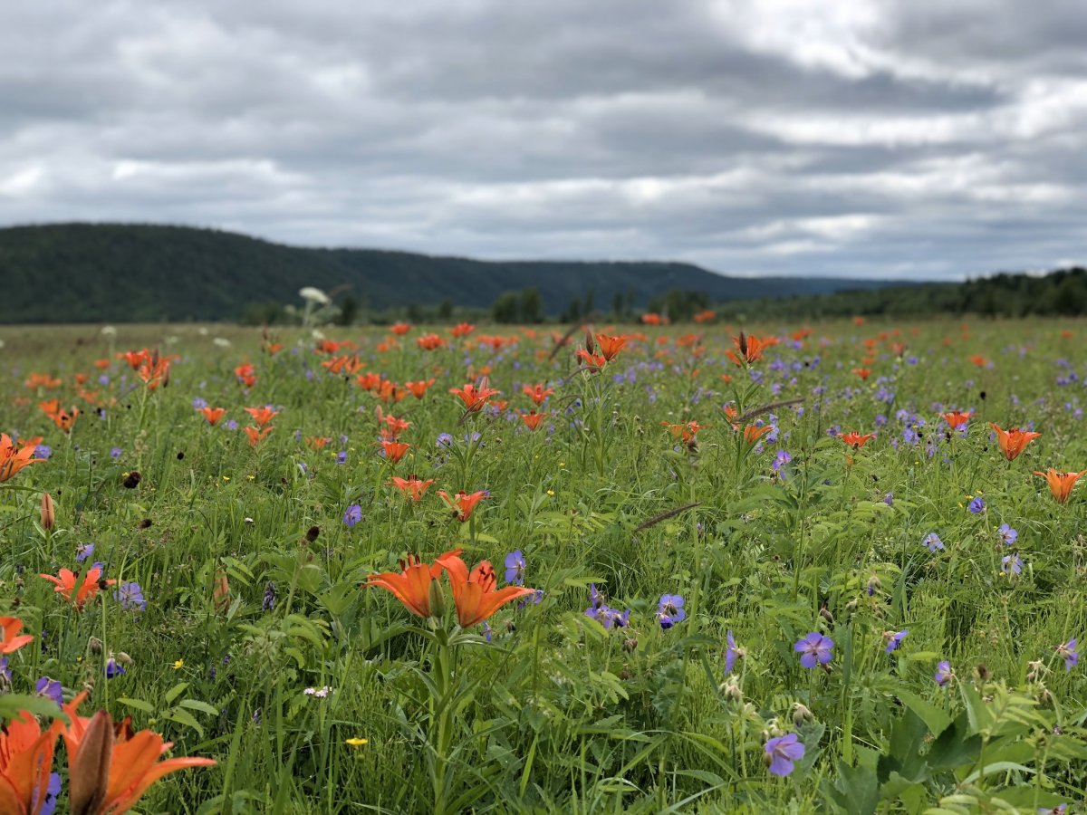 Река синяя Синские столбы