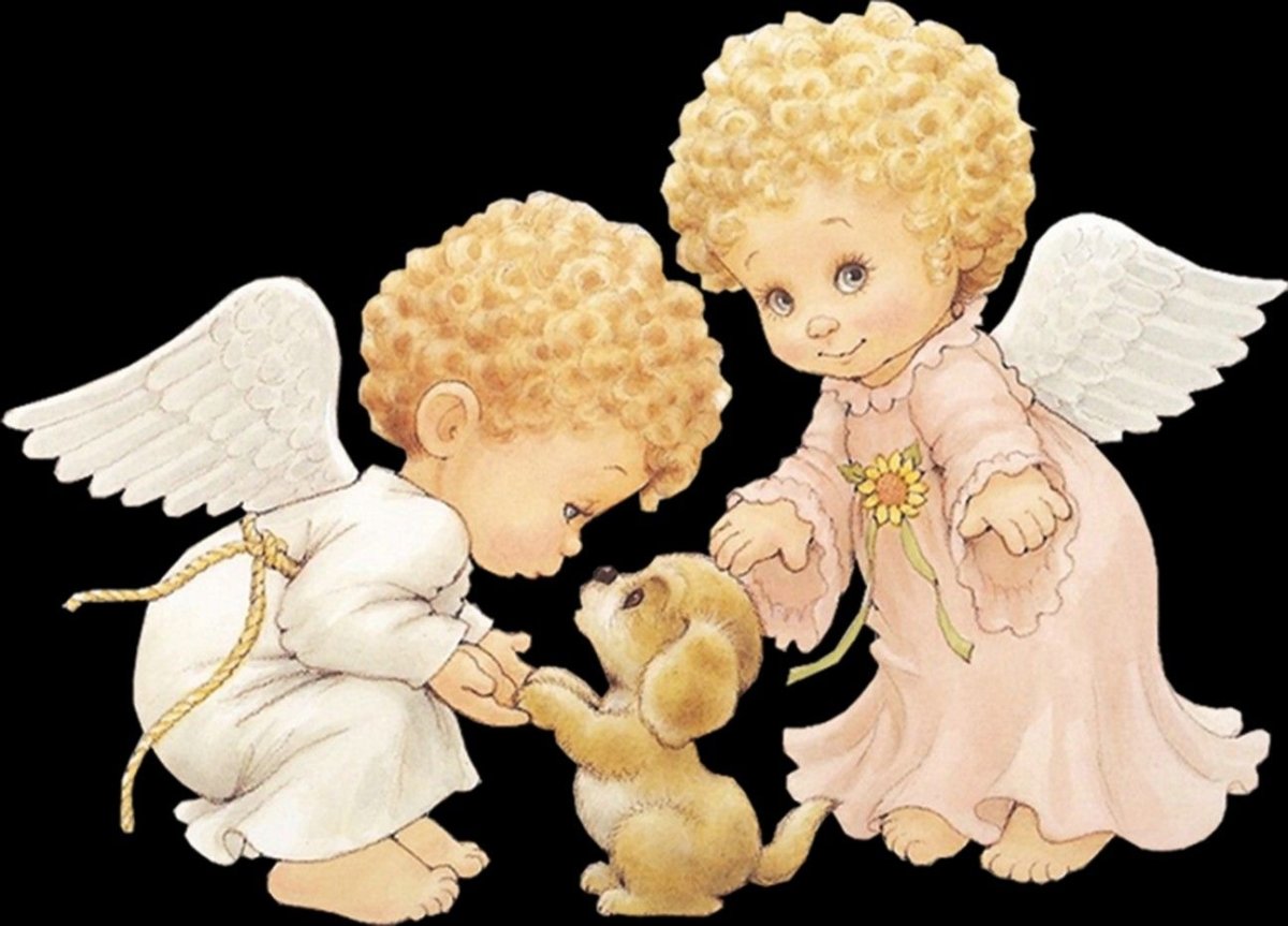 Группа ангелочки