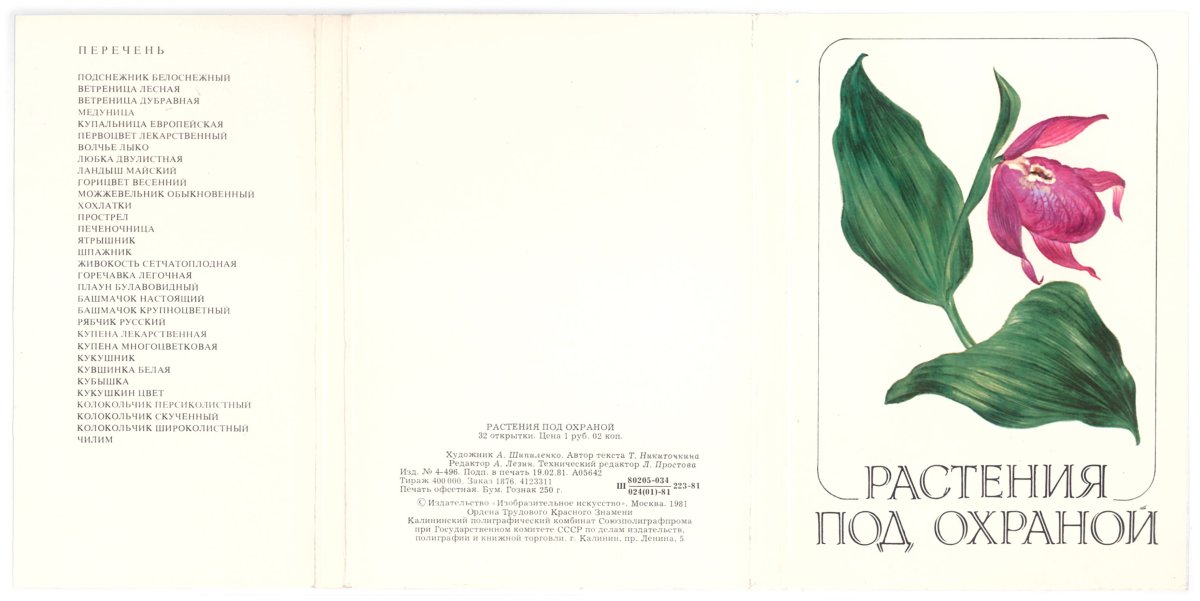 Растения занесенные в красную книгу рисунки