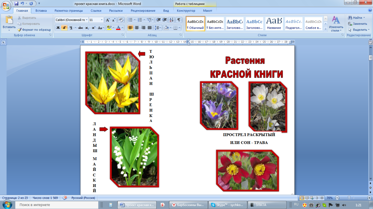 Проект красная книга