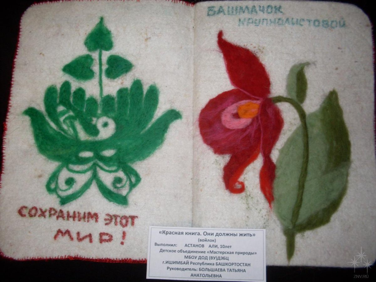 Поделки из красной книги