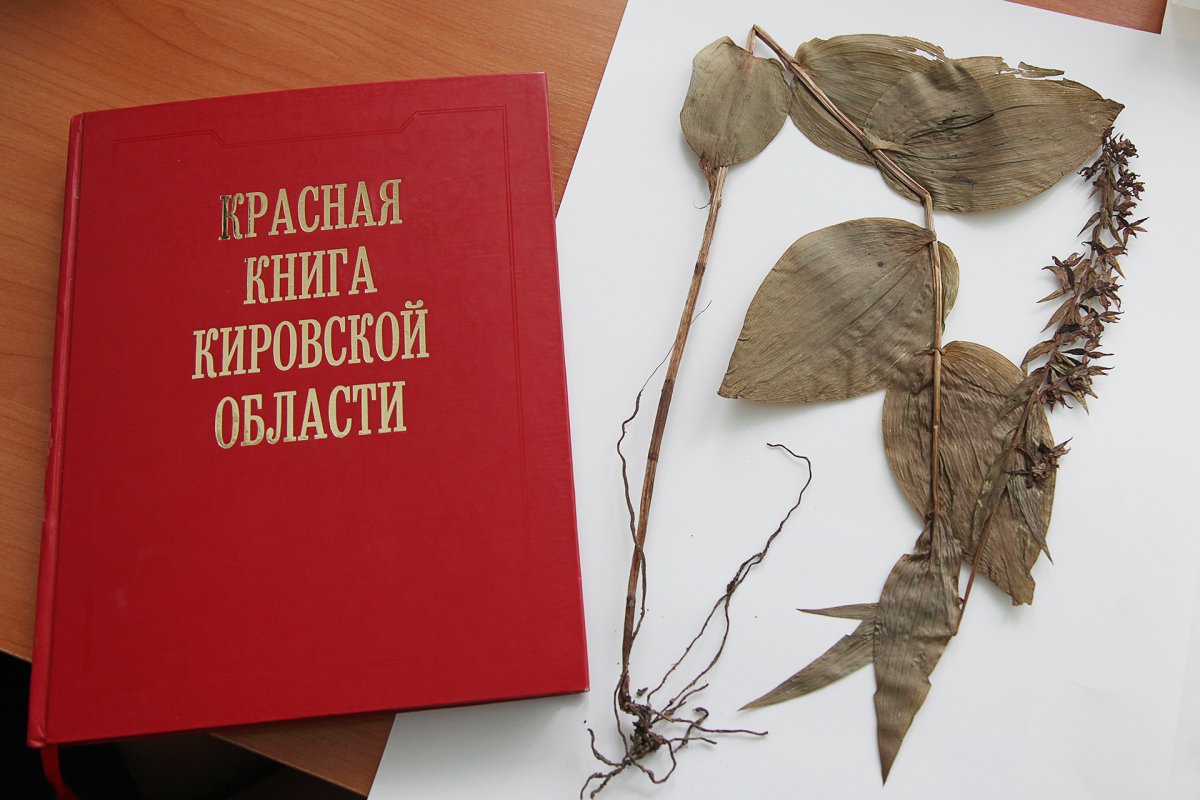 Обложка красной книги Кировской области