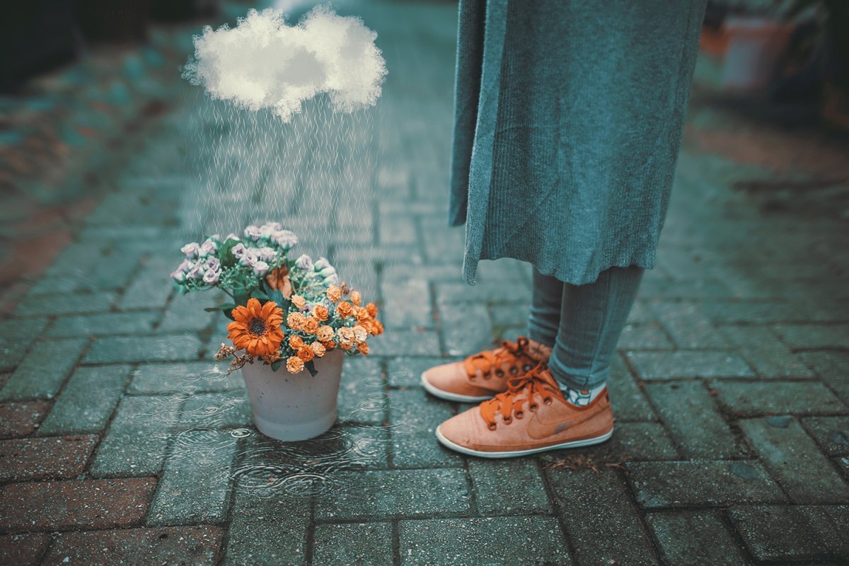 Стихи с добрым утром