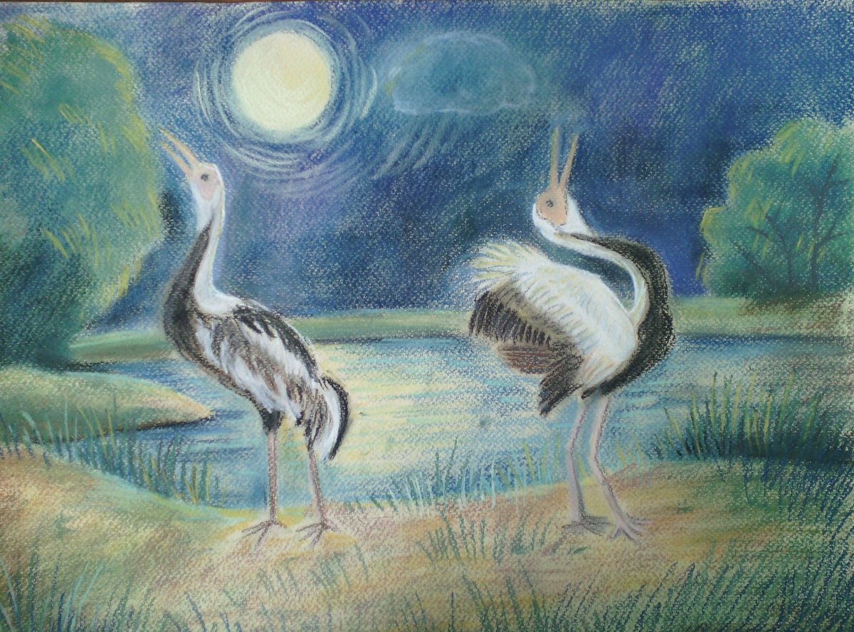 Журавль рисунок