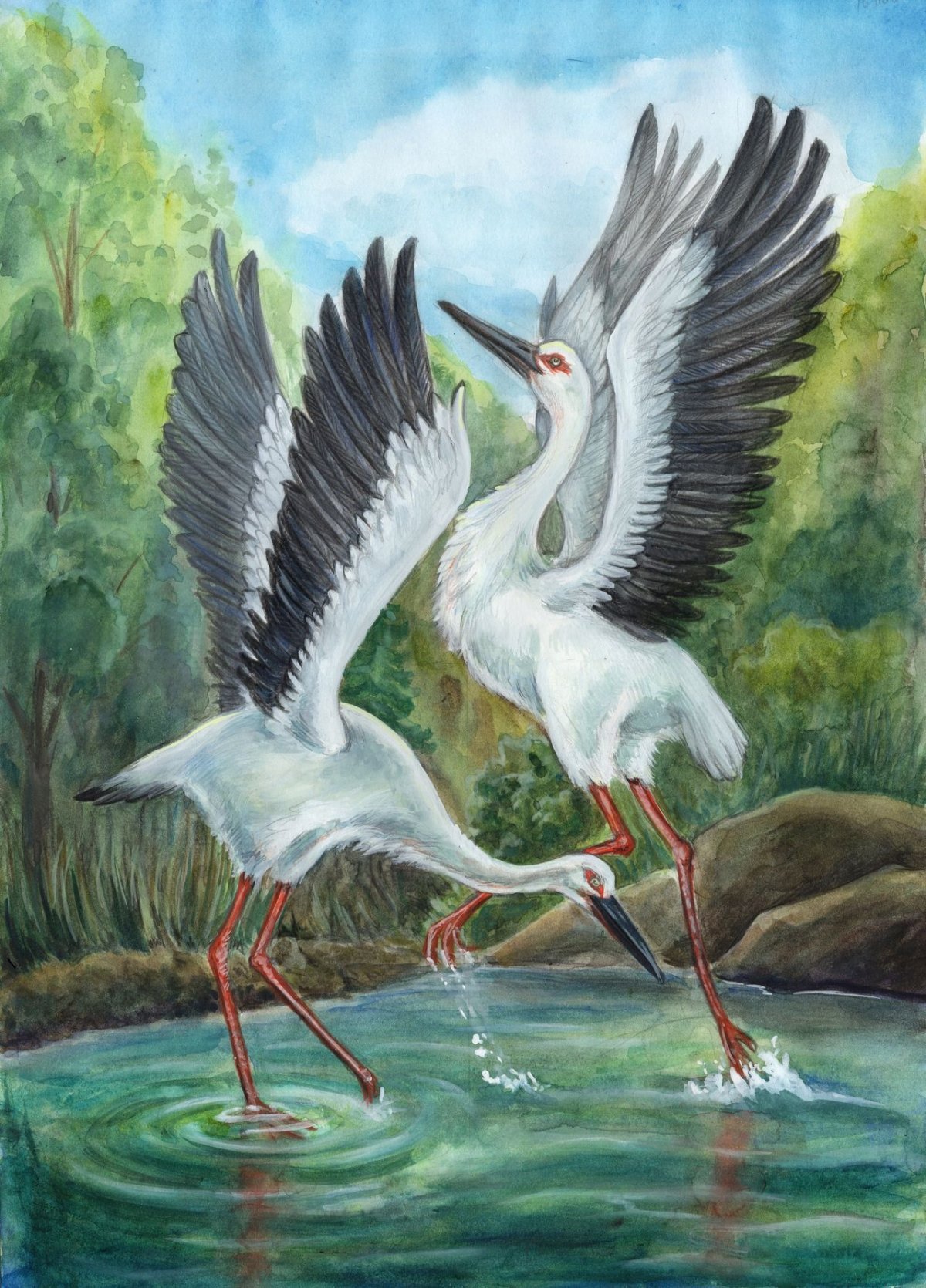 Журавли на озере