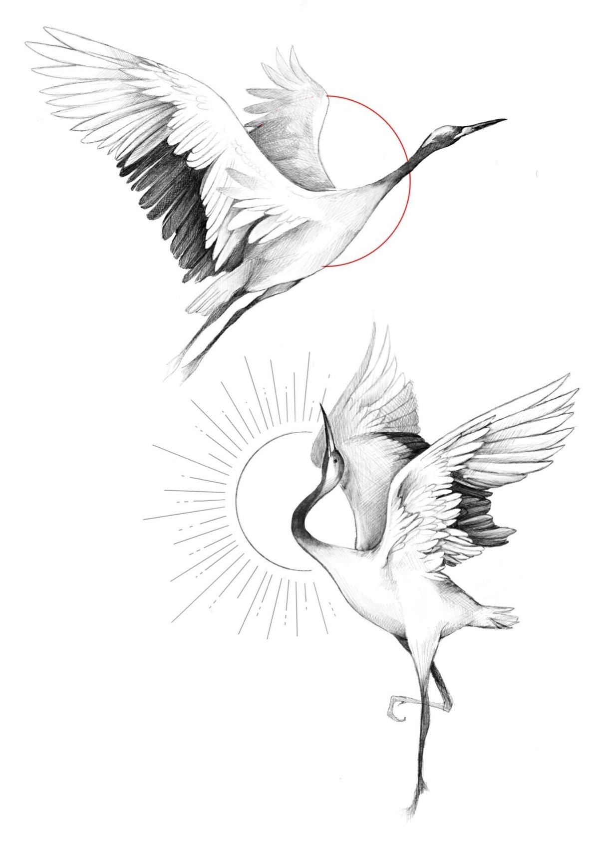 Тату Аист эскизы