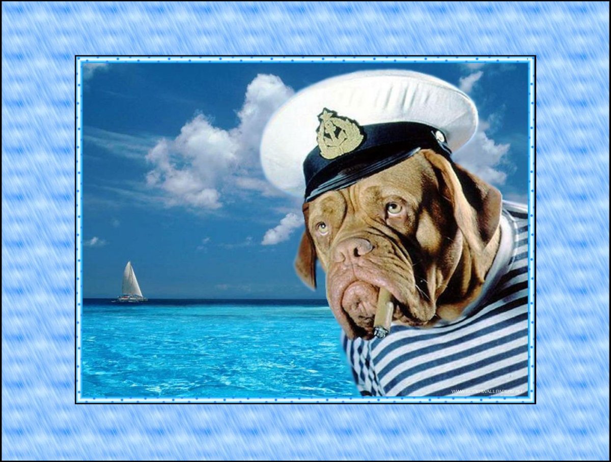 Боцман морской волк