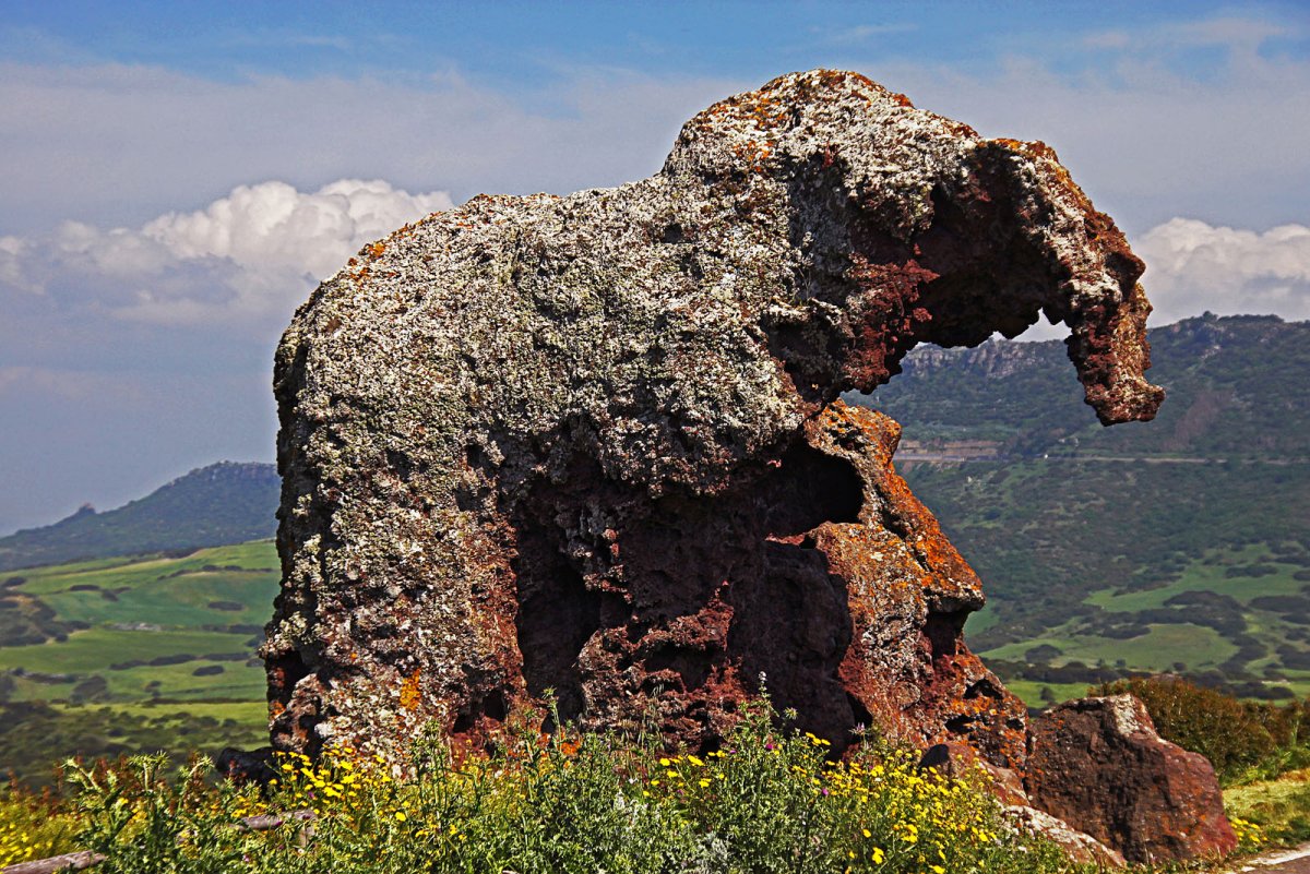 Скала верблюд Красноярск