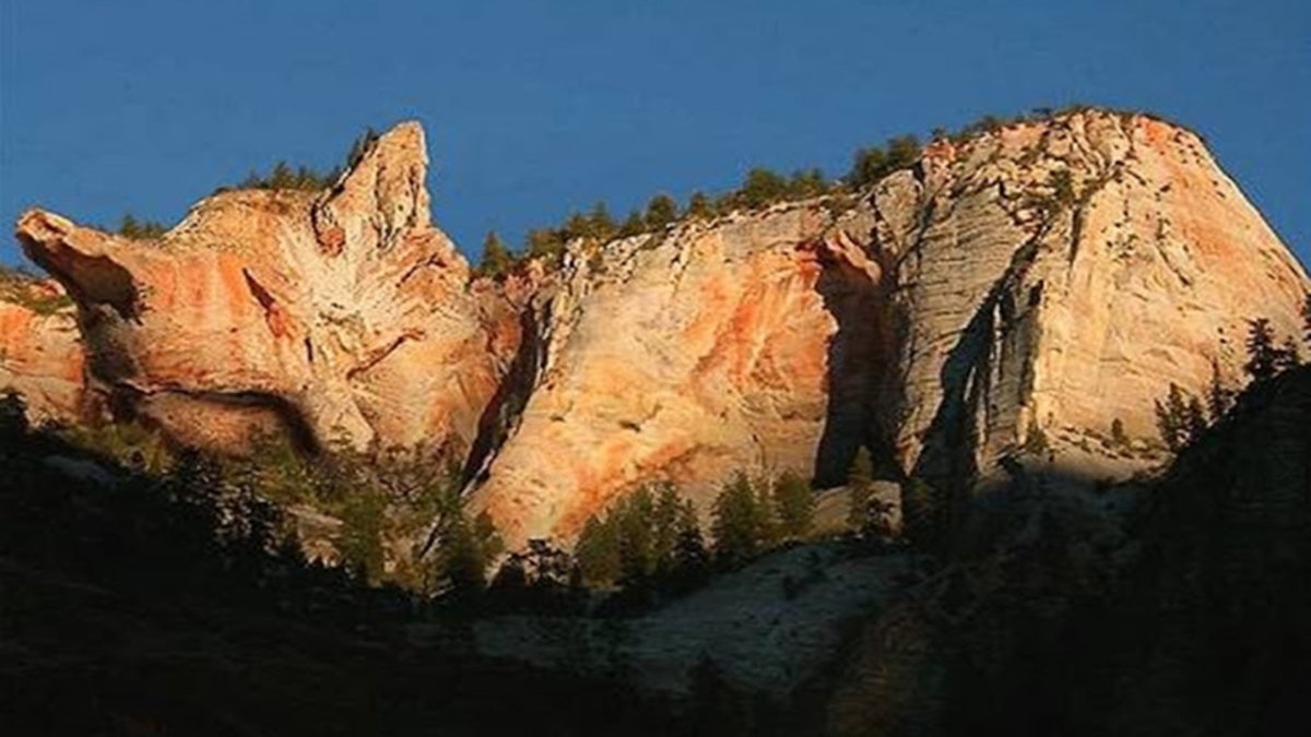 Гора кошка (памятник природы)