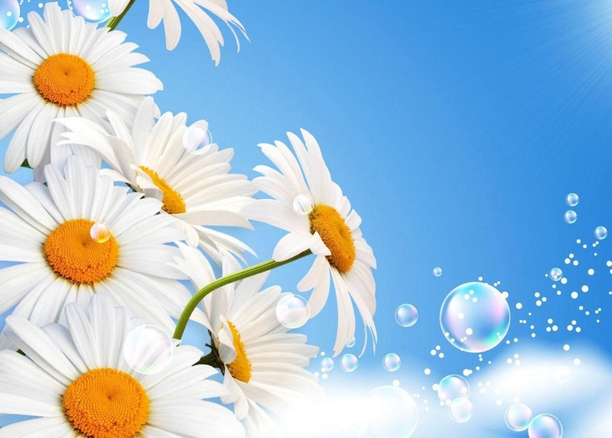 Стильные открытки хорошего дня