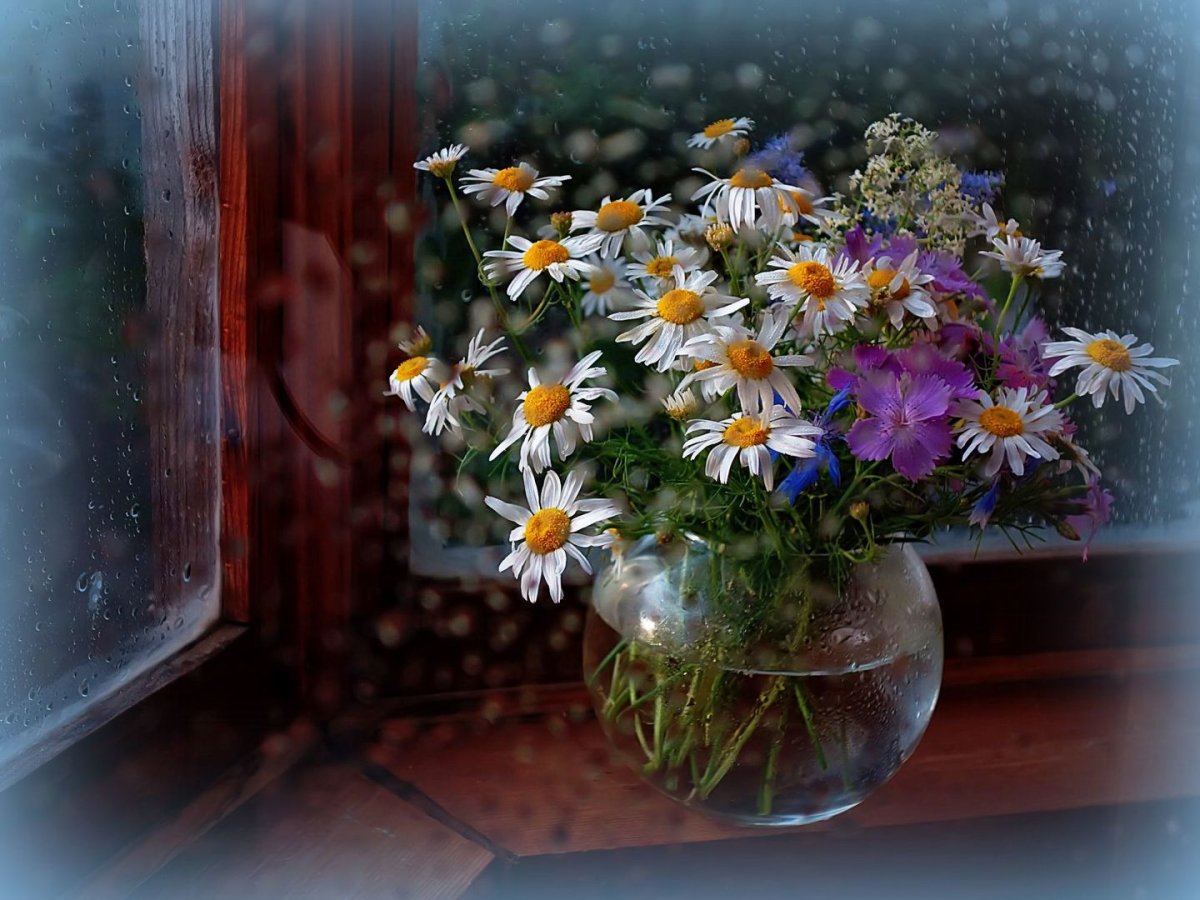Букет ромашек на окне