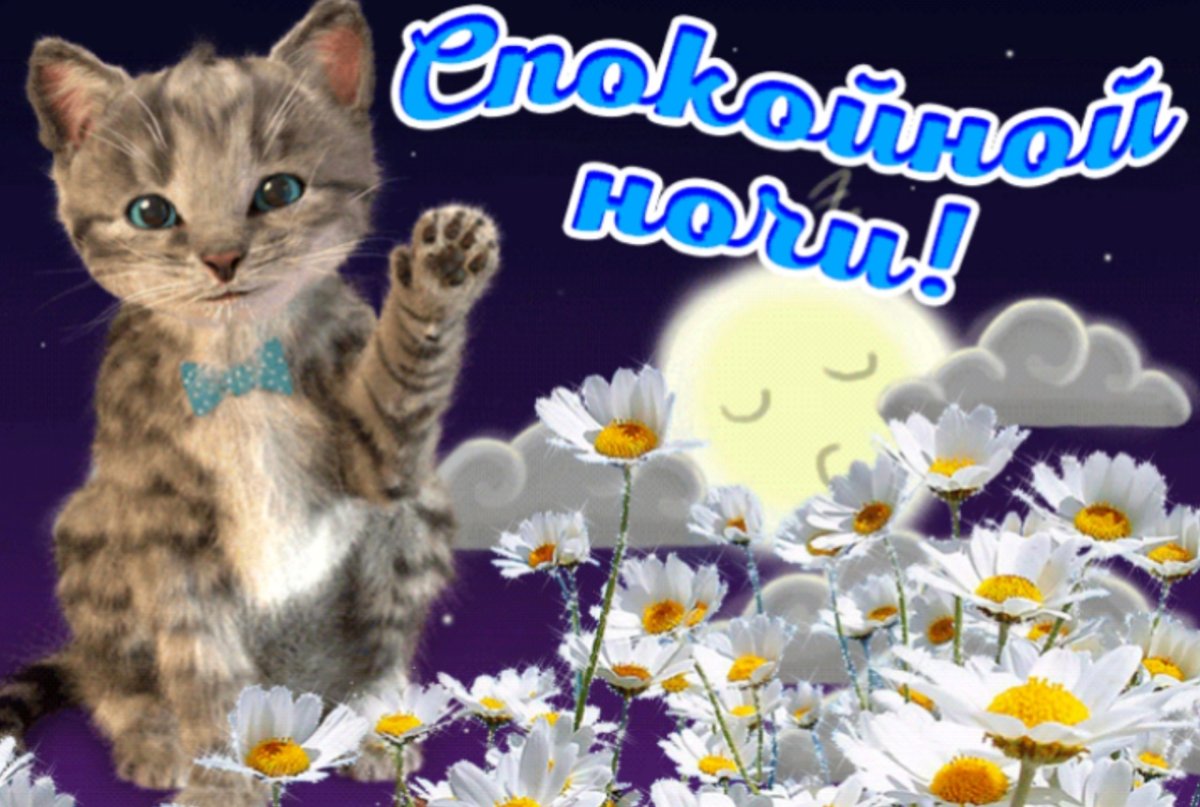 Спокойной весенней ночи с пожеланиями