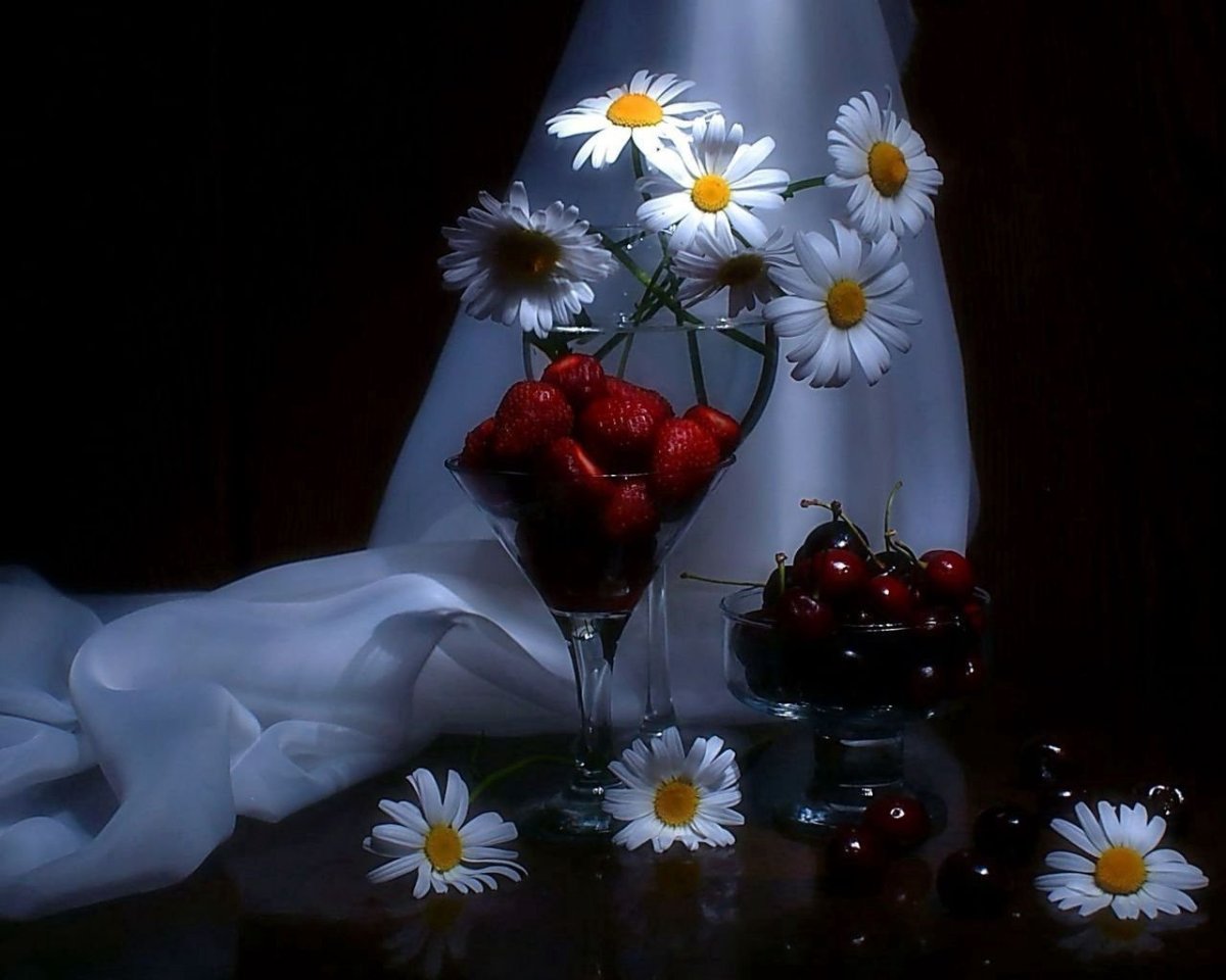 Вечерние ромашки