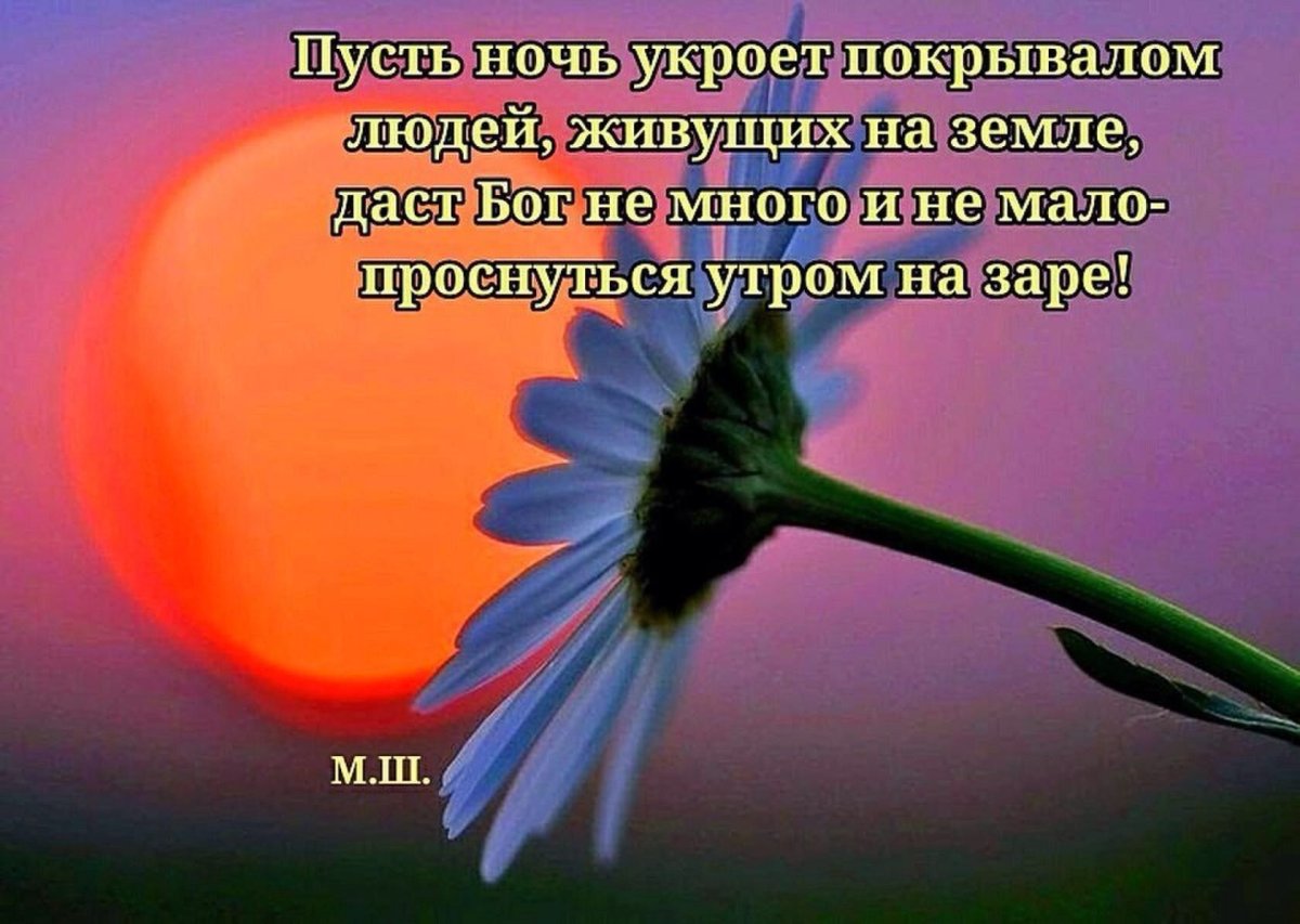 Ромашка для сна