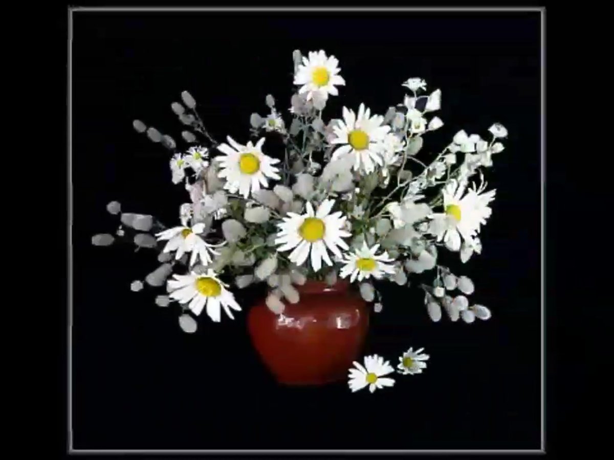 Букет ромашек