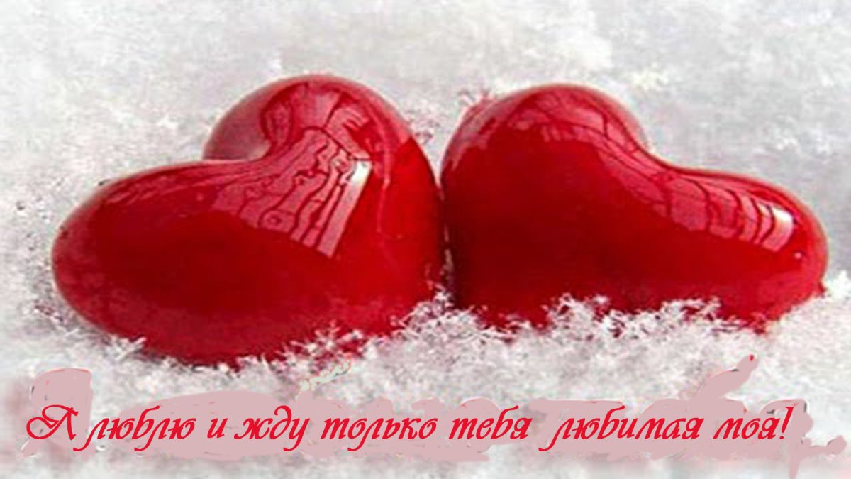 Я мечтаю о нашей встрече