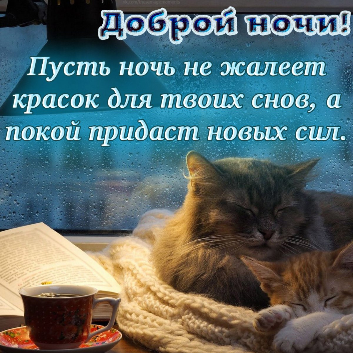 Пожелания доброй ночи