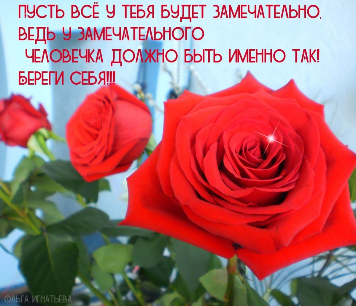 Пожелания участникам группы