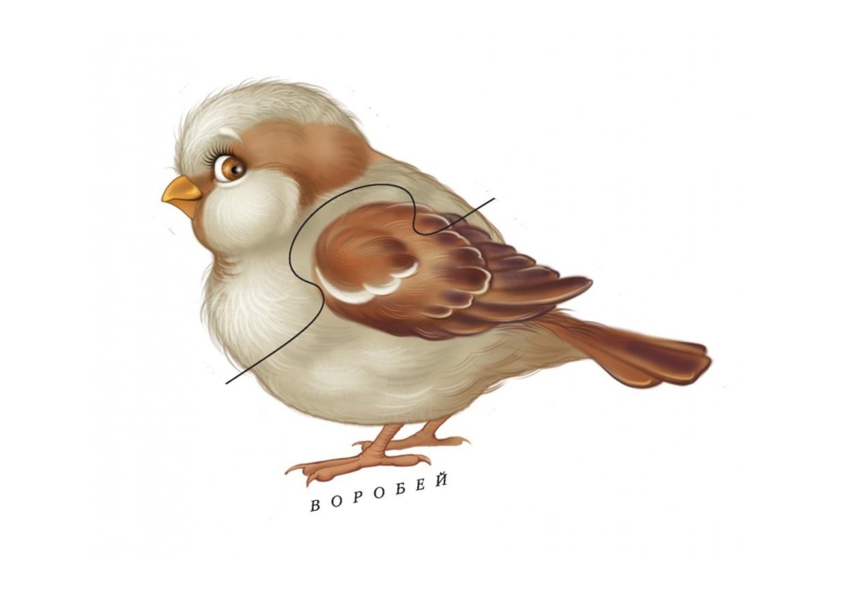 Воробей для детей