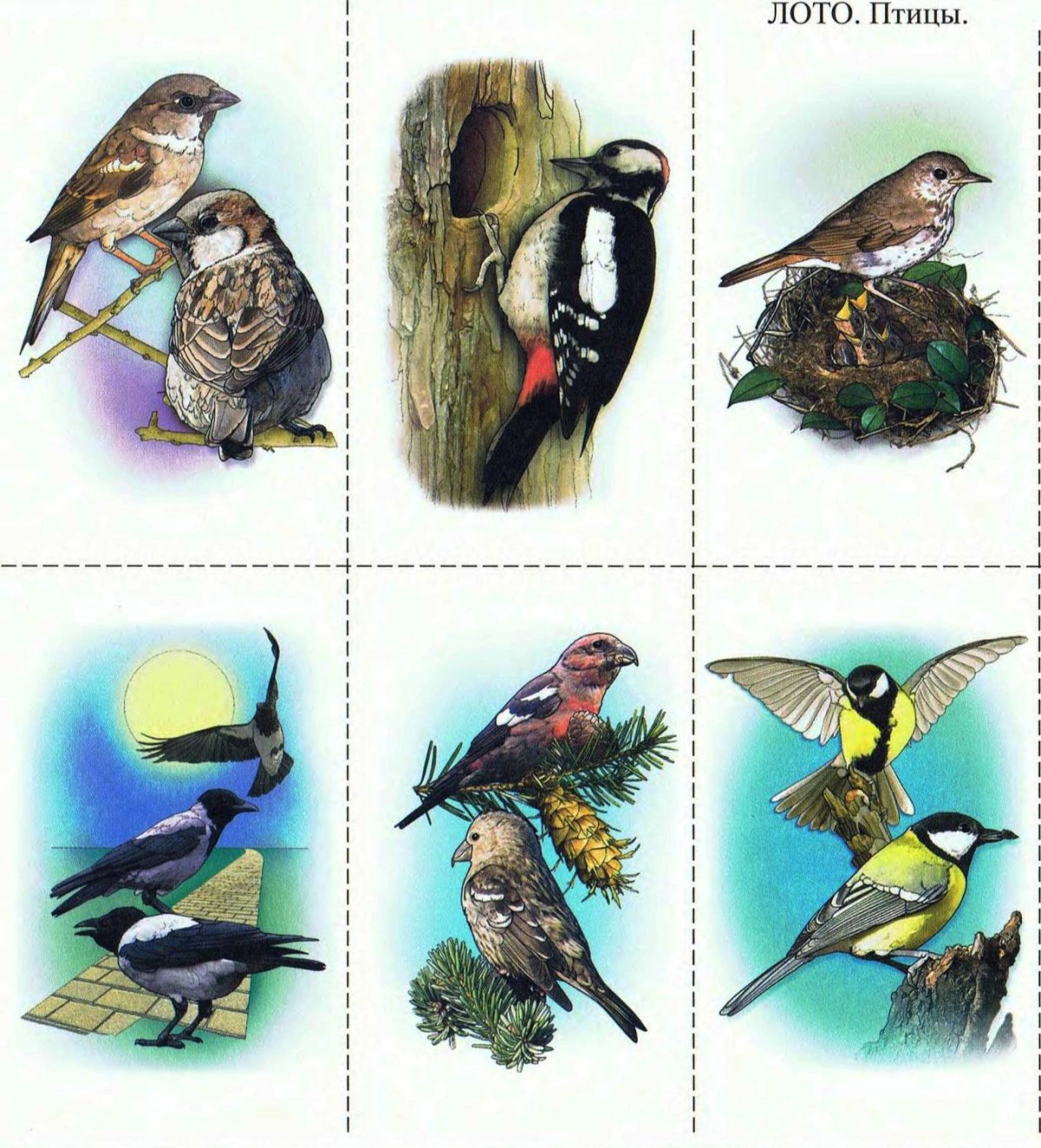 Лото перелетные и зимующие птицы