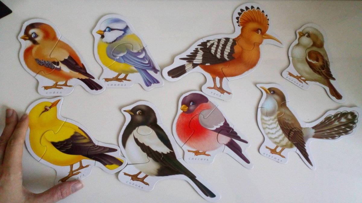 Птицы для фланелеграфа