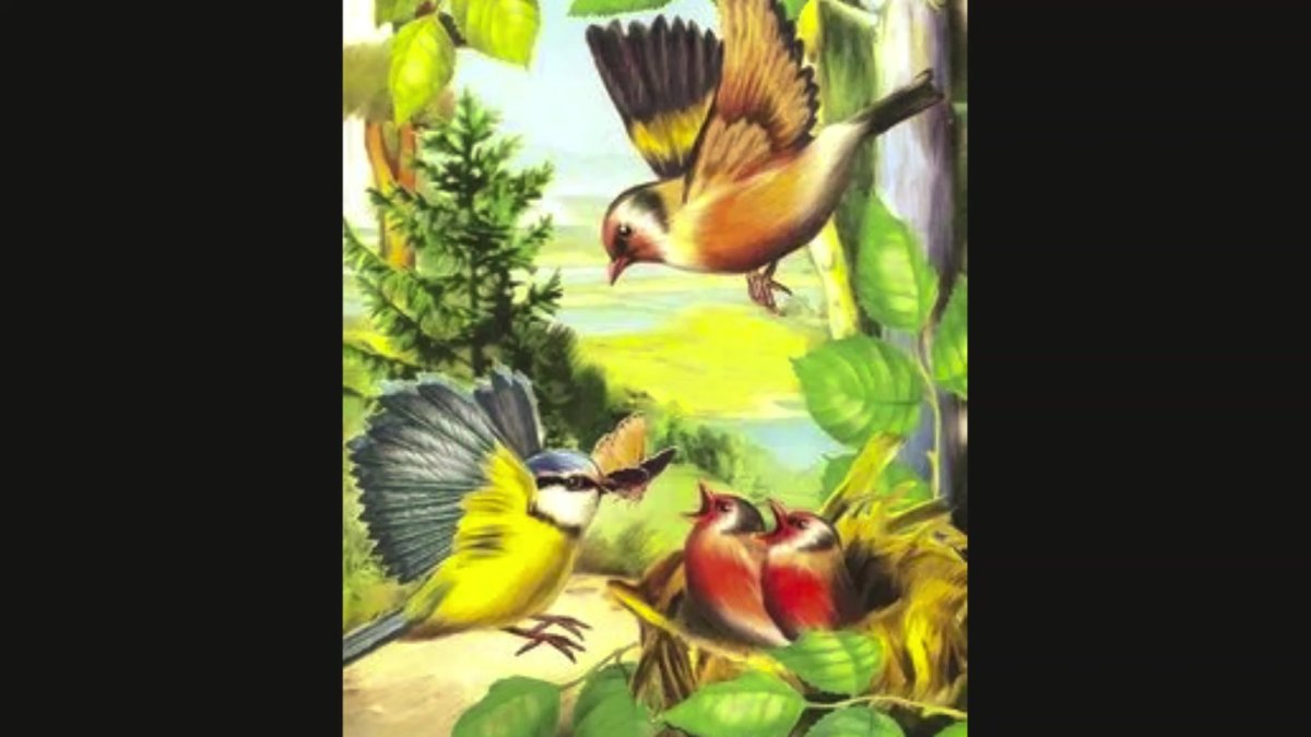 Виталий Бианки иллюстрации