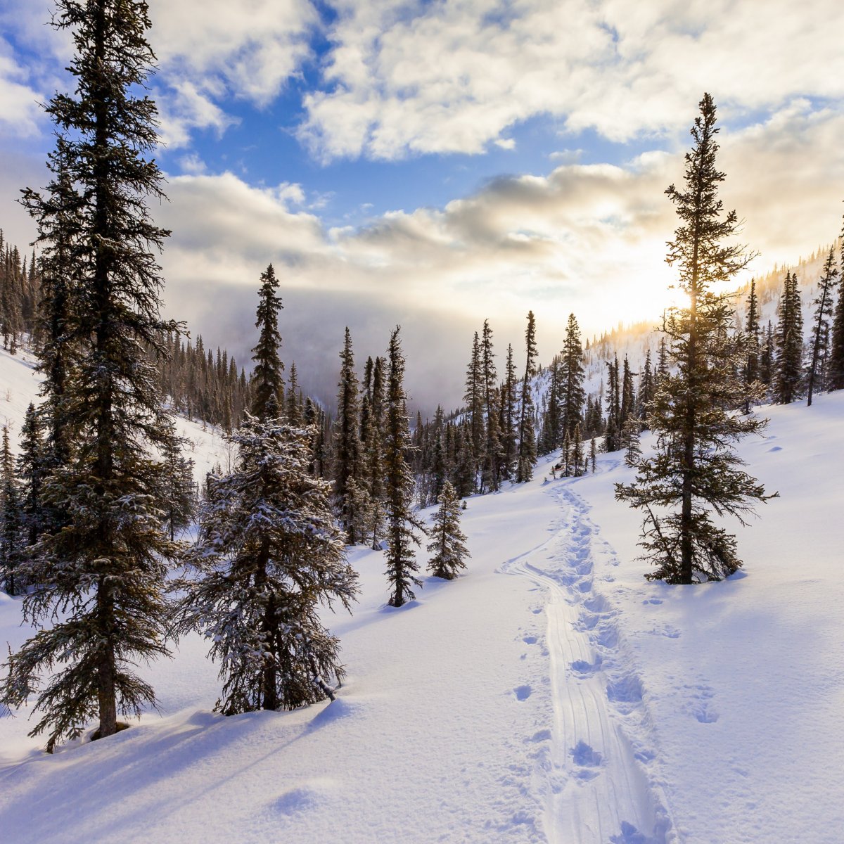 Доброе утро четверг зима