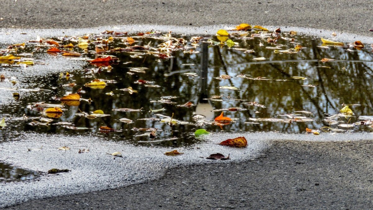 Лужа на асфальте