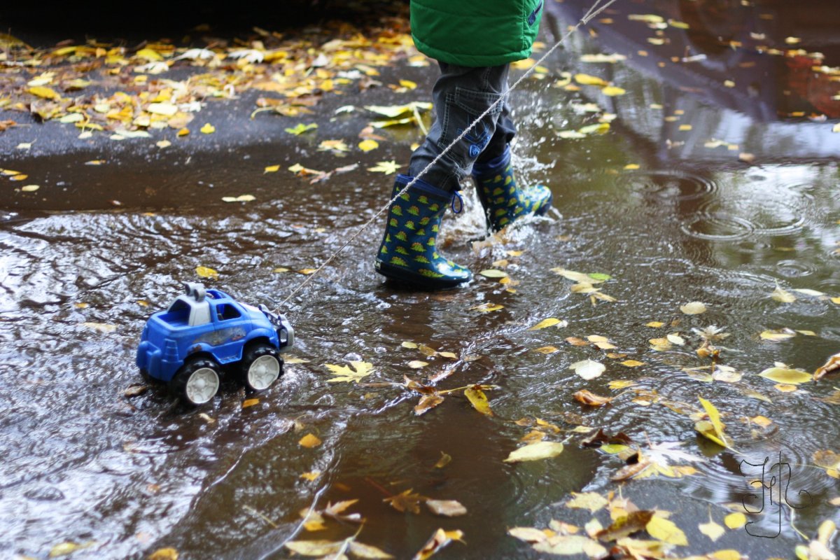 Красивая лужа