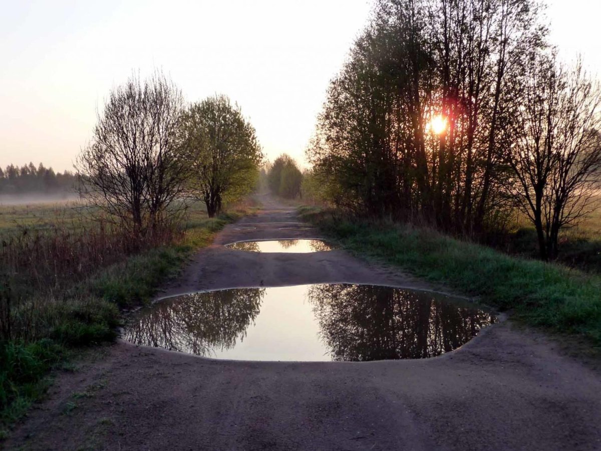 Красивая лужа