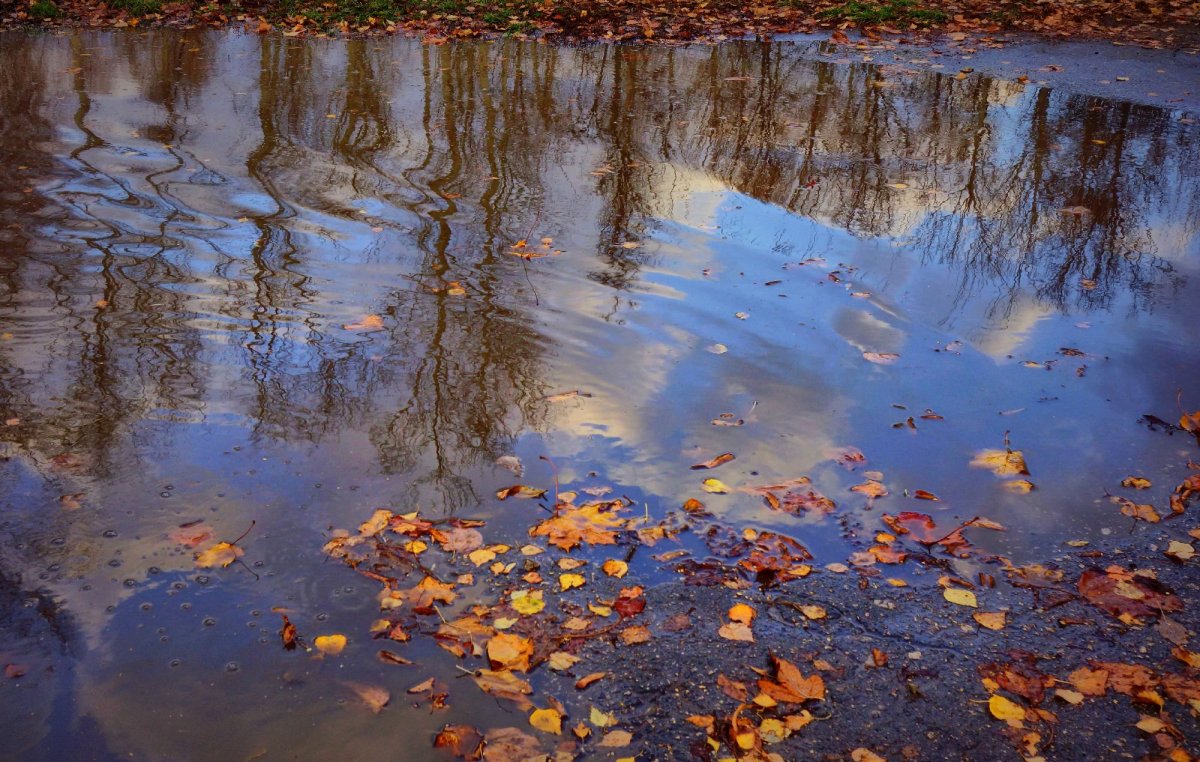 Отражение неба в луже