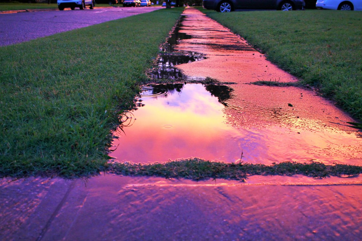 Красивая лужа