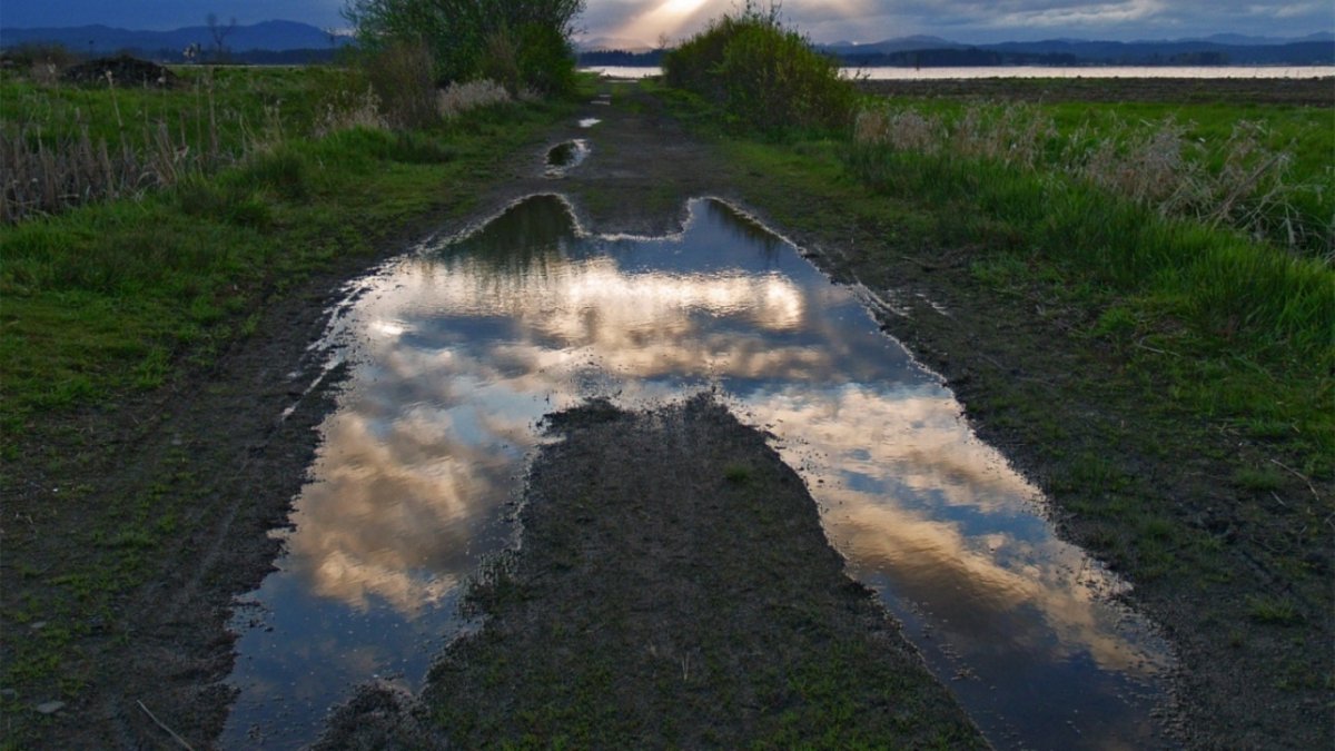 Отражение неба в луже