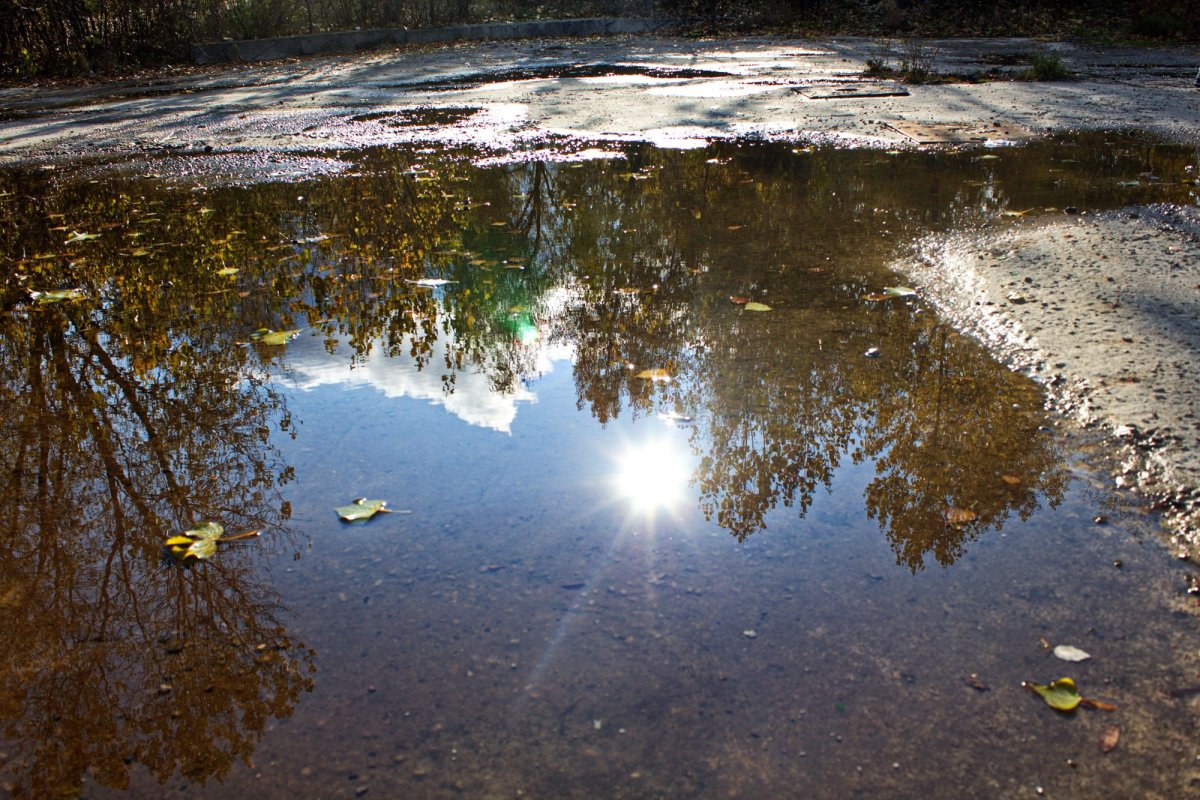 Солнце в луже