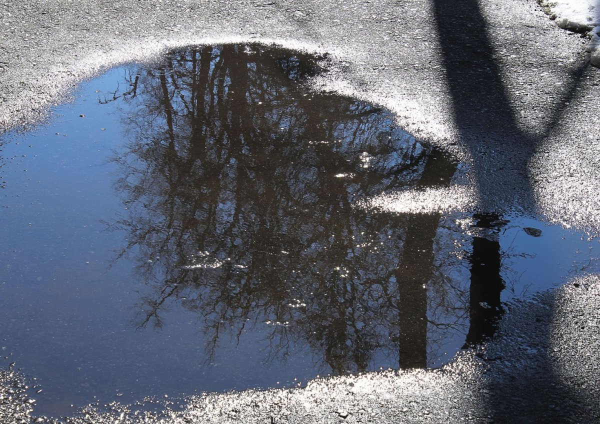 Лужи весной