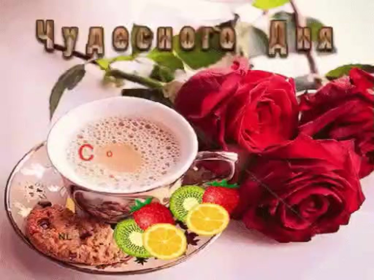 Добрый день четверг