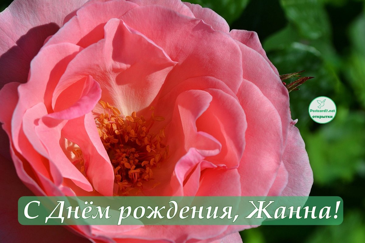 Открытки с днём рождения Жанне