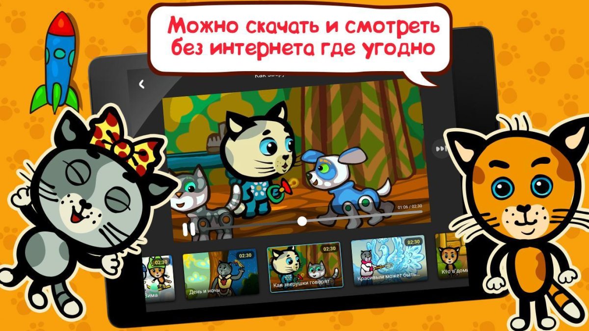 Много кошек