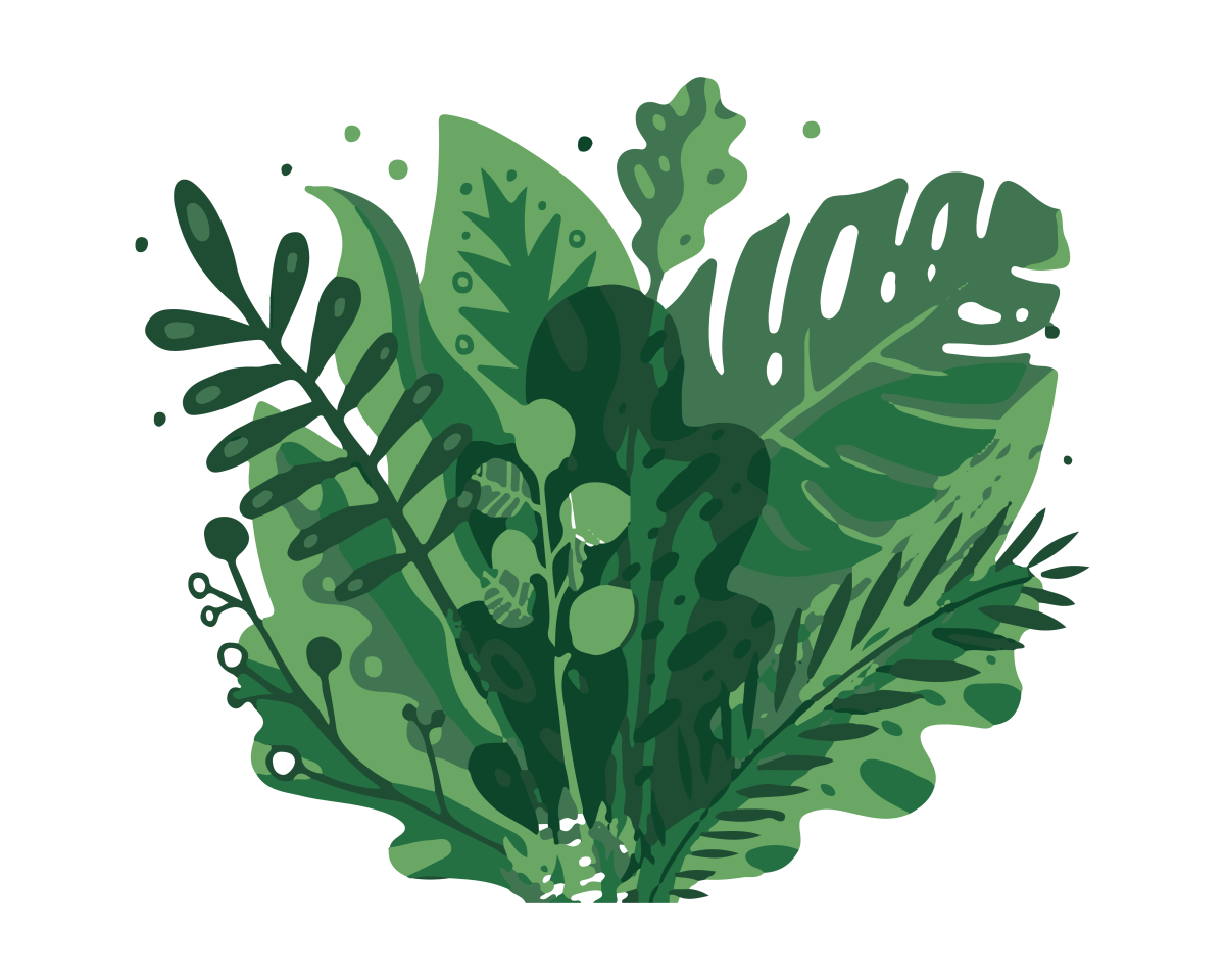 Растения Векторная иллюстрация