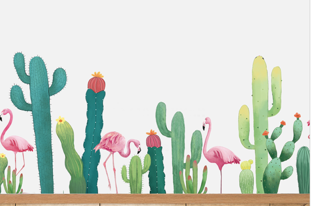 Обои с кактусами