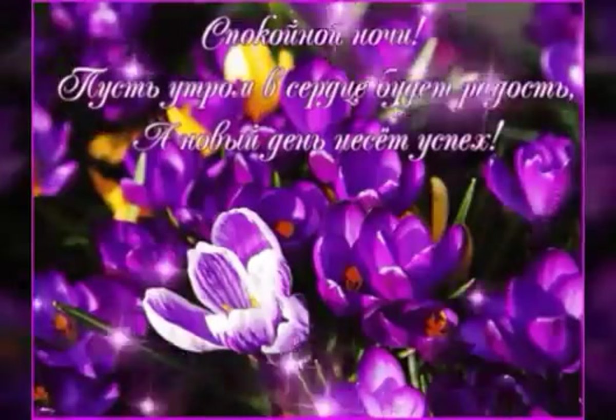 Спокойной весенней ночи