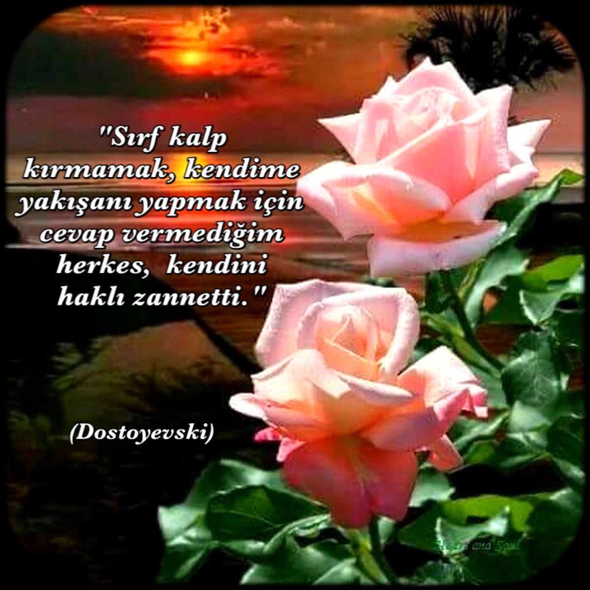 Доброго вечера и спокойной ночи