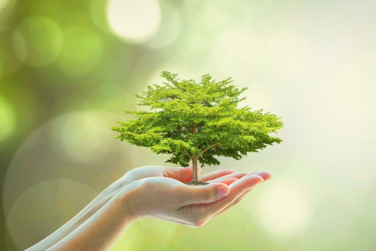 Поддержать проект