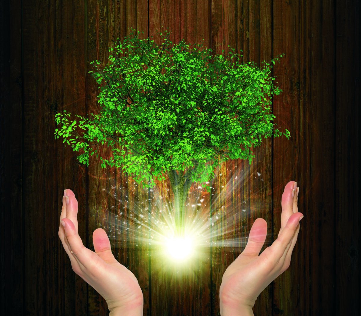 Дерево с ладошками