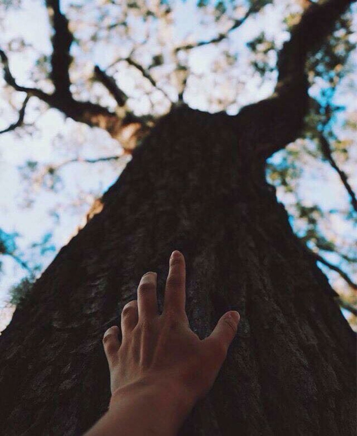 Любовь к природе