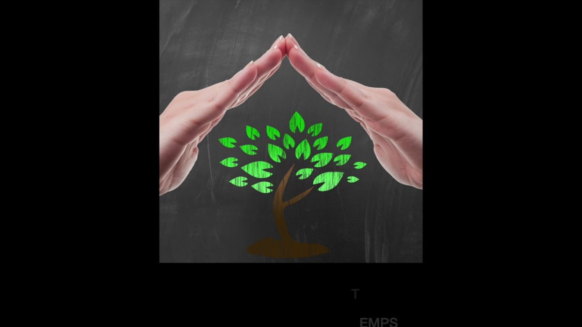 Рука дерево рисунок