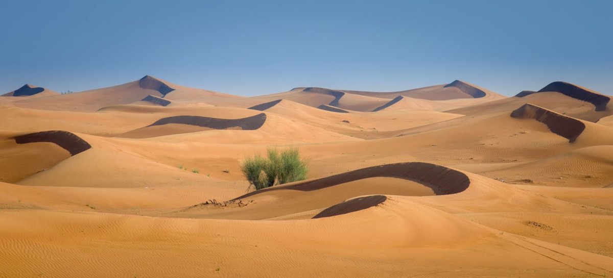 Пустыня для дошкольников
